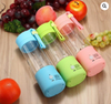 Portable USB Juicer
